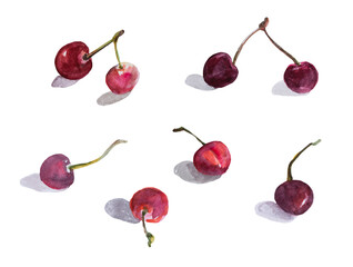 Cherry blossom watercolor isolated white background. Set of different cherries with shadows. Illustration of a ripe red berry for the design of books, notebooks, websites, packaging. Summer sketch