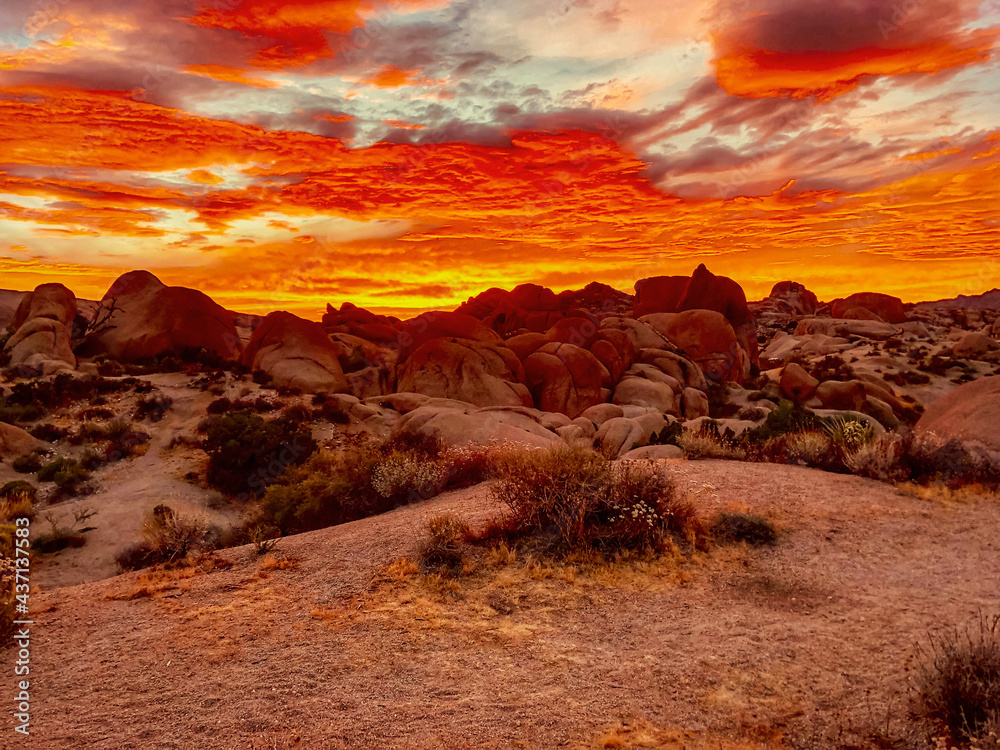 Wall mural sunset over the desert