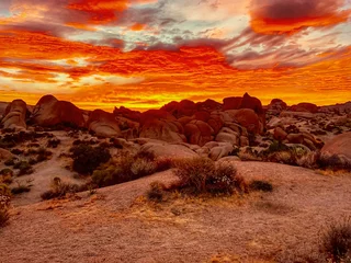Schilderijen op glas sunset over the desert © Chance