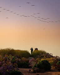 silhouette of a person