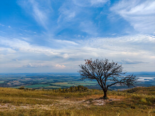 Obraz premium Tropical Paradise. Serra da Canastra, Brazil.