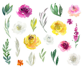 Watercolor isolated floral elements, bright flowers and leaves - 437138197