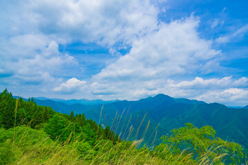 Obraz premium 新緑の風景 浅間嶺からの景色 春