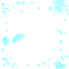 Turquoise flower petals falling down. Shapely roma