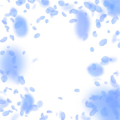 Dark blue flower petals falling down. Classic roma