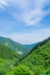 Fototapeta na wymiar 檜原村の風景　初夏