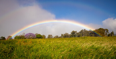 Rainbow over horse field, upcountry Maui