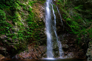 Fototapeta na wymiar 払沢の滝　自然　風景
