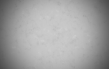 abstract colorful light silver gray background bg