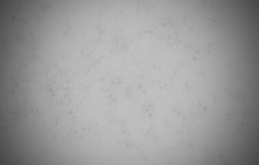 abstract colorful light silver gray background bg