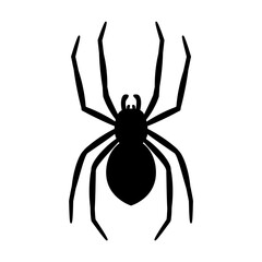 silhouette of a spider hanging from a web Abandoned House Horror Ideas for Halloween