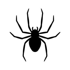 Obraz premium silhouette of a spider hanging from a web Abandoned House Horror Ideas for Halloween