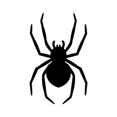 silhouette of a spider hanging from a web Abandoned House Horror Ideas for Halloween