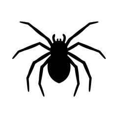 silhouette of a spider hanging from a web Abandoned House Horror Ideas for Halloween