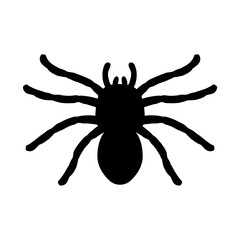 silhouette of a spider hanging from a web Abandoned House Horror Ideas for Halloween