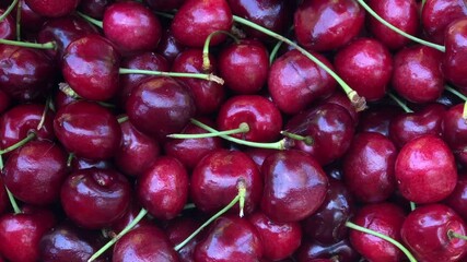 4K HD video zooming out from fresh organic dark red Bing cherries, hand reaches in and removes one berry. Bing cherries are dark red and very round
