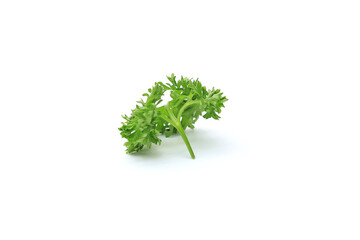 Fresh Parsley isolated on white background - Close-up and selective focus