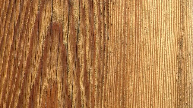Growth ring grain pattern on golden brown wood.