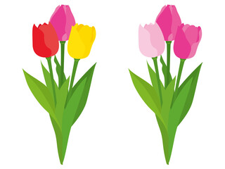 カラフルなチューリップの花