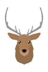 reindeer face illustration