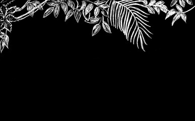 Graphic representation of tropical plants in white on a black background