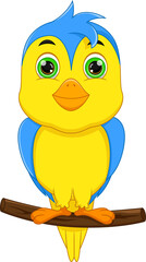 cute bird cartoon isolated on white background