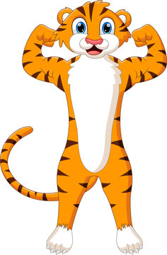 cartoon cute tiger posing showing off muscles