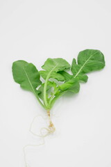 Arugula or Rocket Leaves on white background .organic healthy diet food.