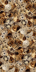 Quail eggs bird food kitchen photo seamless pattern texture craft background