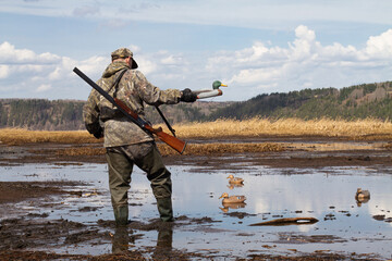 a hunter walks along the muddy shore of the lake and sets up duck decoy