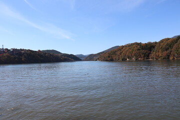 Naklejka premium 紅葉