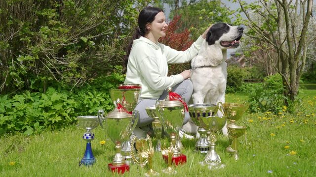 Female pet owner and her winner Central Asian shepherd dog with dogs show awards, woman with Alabay near winning cups. High quality 4k footage