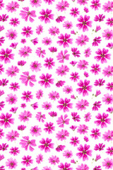 Pattern of pink flowers on a white background, as a backdrop or texture. Spring, summer wallpaper for your design. Top view Flat lay