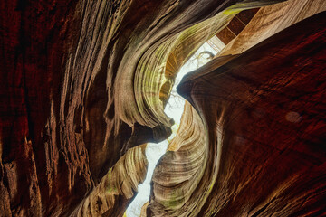 Fototapety na wymiar - Fototapeta24.pl