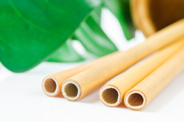 Bamboo drinking straws and green leaves with Zero - waste.