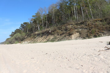 Baltic coast; beach, dunes and escarpment with trees