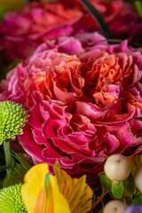 Pink flower in bloom with many smooth petals
