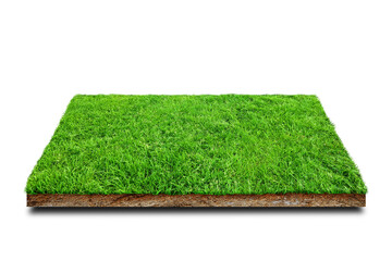 Side view of  Square green grass meadow field covered brown soil ground isolated on white background. (Clipping path)