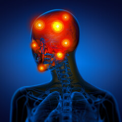 3d render medical illustration of the skull © maya2008