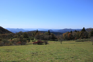 山