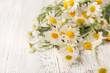 Obraz premium Bouquet of beautiful chamomile flowers on light wooden background, closeup