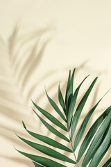 Natural green palm leaf with sun shade on light yellow. Summer minimal concept, beautiful daylight
