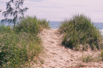 Fototapeta na wymiar Australian gold coast beach 