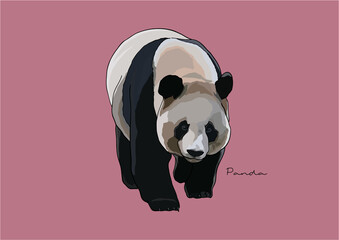 Vector Illustration of  adorable Panda © be_u_and_i