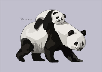 Vector Illustration of  adorable Panda © be_u_and_i