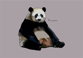 Vector Illustration of  adorable Panda © be_u_and_i