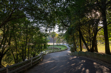 paisagem de um parque natural incluindo arvores, sol, vegetação, lago. Conceito de natureza.