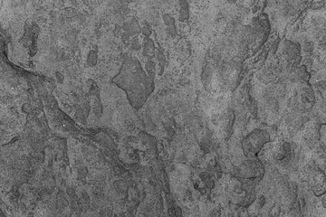 Gray stone texture background.surface of the cave rock wall.