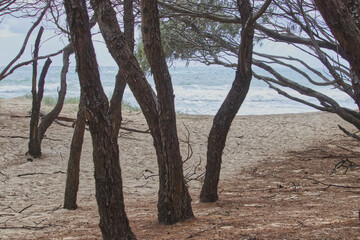 Australian gold coast beach the spit 