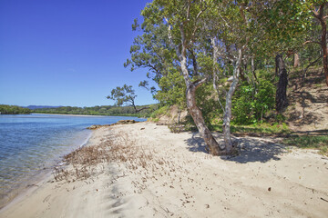 Fototapeta na wymiar Australian gold coast beach burleigh heads 
